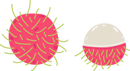 Set of abstract vector illustrations of Rambutan. Simple Rambutan. Tropical fruits collection design for interior, cards, posters, banners, flyers, social media wallpapers