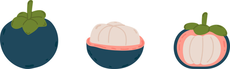 Set of abstract vector illustrations of Mangosteen. Simple mangosteen. Tropical fruits collection design for interior, cards, posters, banners, flyers, social media wallpapers