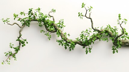 realistic twisted jungle branch with plant growing isolated on a white background