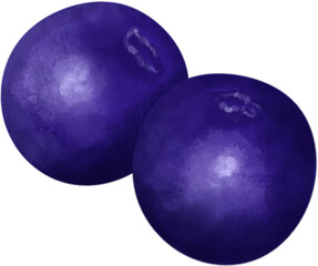 Two plump, round blueberries that look fresh and delicious.