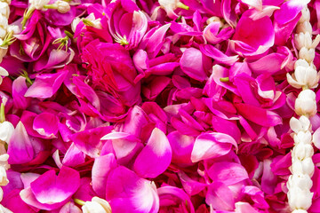 a collection of red roses scattered for a funeral