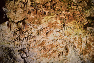 Postojna Cave is the most captivating cave in the world