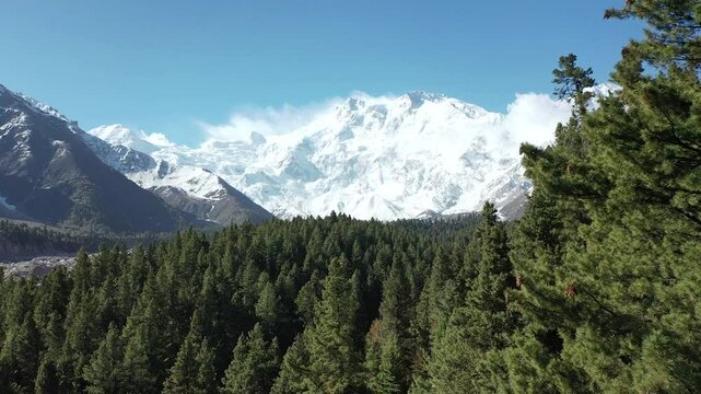 Drone Flight over Trees near Nanga Parbat