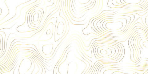 Abstract topography geography contour map and curve reliefs background .elevation contouring white paper and golden lines background .geographic mountain contour map grid vector background design .