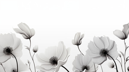white flowers on black background