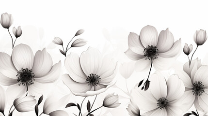 white flowers on black background