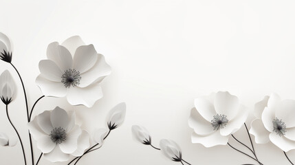white flowers on black background