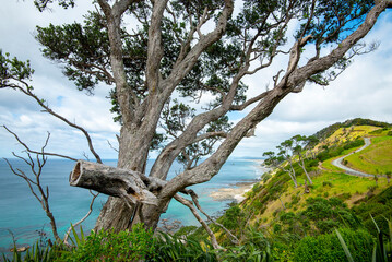 Mangawhai Cliff Walk - New Zealand
