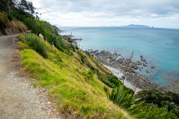 Fototapeta premium Mangawhai Cliff Walk - New Zealand