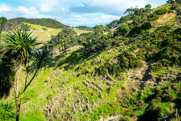 Mangawhai Cliff Walk - New Zealand