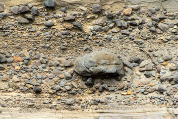 Conglomerate Rock Cliff - New Zealand