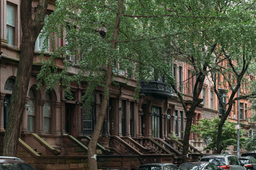 Charming brownstone buildings lined with trees in a residential New York City neighborhood