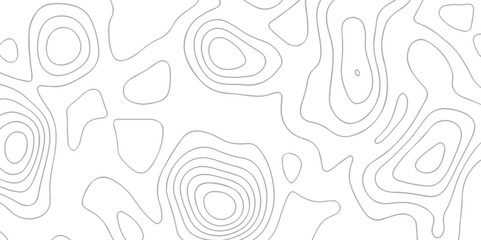 White wave paper curved reliefs abstract background. The topographic map contour in lines isolated. Abstract white topographic map background with lines. Background of the topography map.