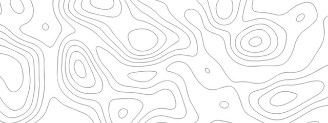 White wave paper curved reliefs abstract background. The topographic map contour in lines isolated. Abstract white topographic map background with lines. Background of the topography map.