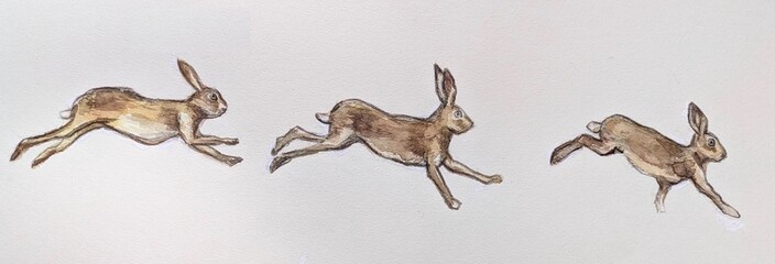 走る三匹のウサギの手描き水彩イラスト