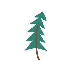 Obraz premium green christmas tree