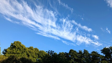 Clear blue sky with unusual white clouds above green forest, nature background, painted sky, natural template