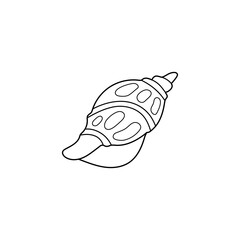 Snail sea shell vector illustration. Line art. Printable coloring page for kids and adults