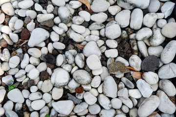 Close up of white gravel texture mixed with soil