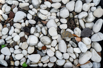 Close up of white gravel texture mixed with soil