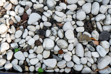 Close up of white gravel texture mixed with soil