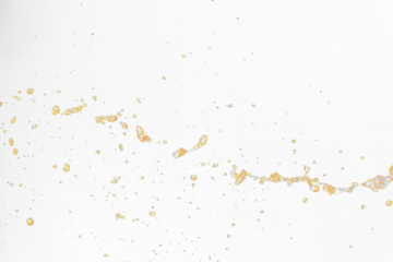 Orange, lemon juice or oil lubricant splash, liquid gold yellow drink drops. Fruit beverage water elements in line form . Fresh splashing and flowing jets, black background isolated freeze motion