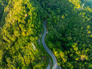 Aerial view Drone camera rainforest trees ecology with healthy environment concept and summer background