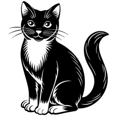 illustration of cat