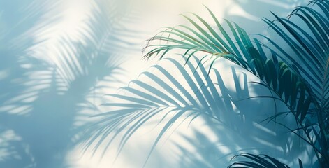 Close-up shadows of palm fronds on the water, blurred backgrounds and banners containing areas of replicated space. Soft blue style for summer concept.
