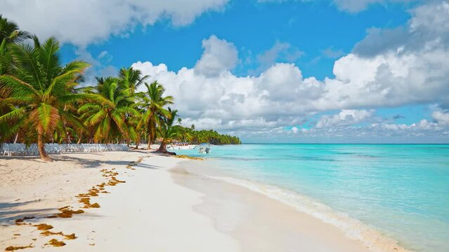 Caribbean tropical island beach resort. Blue turquoise sea and white sand as background. Beautiful palm trees rest with blue turquoise sea water. Atlantic Ocean, Dominican Republic beaches Punta Cana.