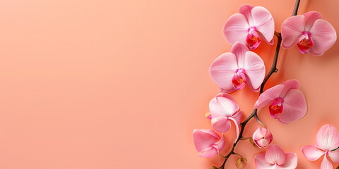 Banner with flowers on peach color background. Greeting card template for Wedding, mothers or womans day. Springtime composition with copy space. Flat lay style