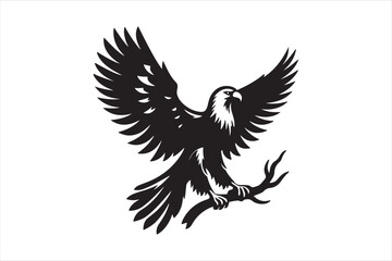  Eagle flying vector silhouette illustration