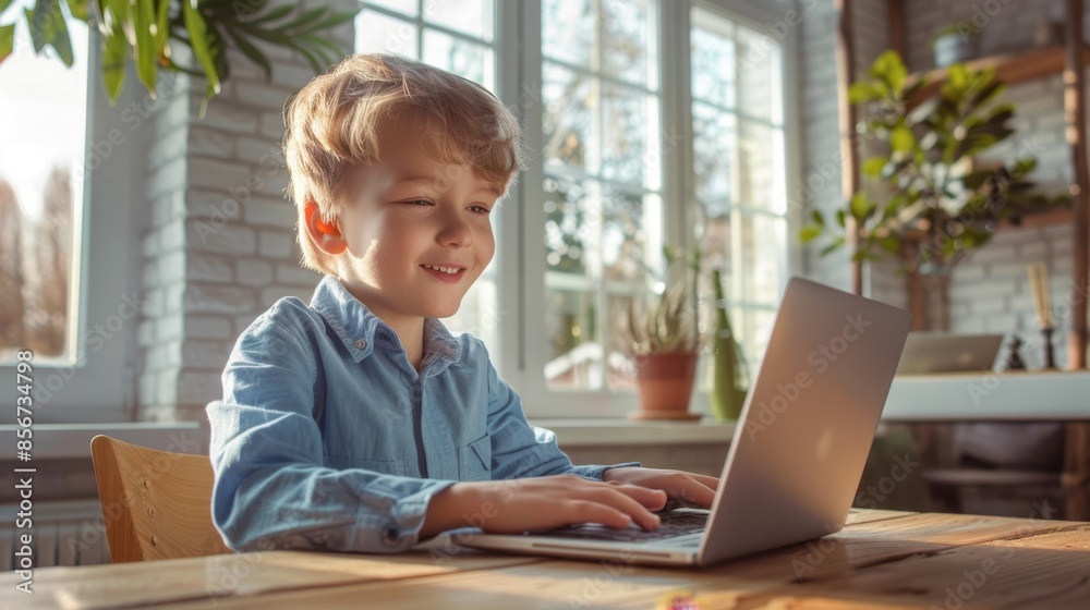 Canvas Prints The boy using laptop indoors