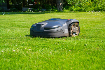 Robotic Lawn Mower Cutting Grass in Garden. Automated Mower Maintaining Green Lawn on Sunny Day