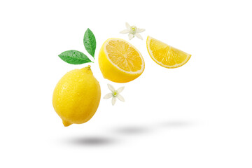 Flying fresh lemon with lemon slice and lemon flower isolated on white background , clipping path.