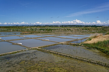 Marais salants près de Guérande