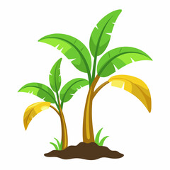 Banana Tree vector illustration