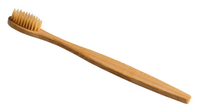 Natural bamboo toothbrush design element - Powered by Adobe