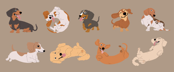 Set of Cute Cartoon Dachshund Dogs with Various Fur Colors and Coat Types,Isolated Vector Illustration