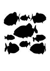Piranha fish animal silhouettes