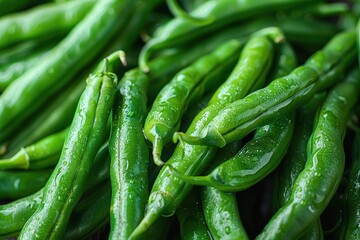 A close-up of freshly harvested green beans, showing their vibrant color and freshness. 