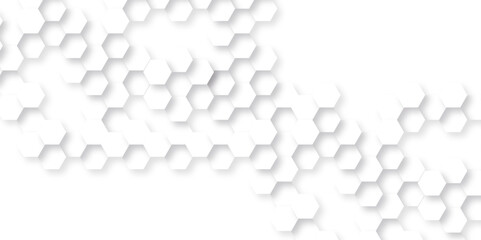 Abstract background with hexagon, modern abstract vector polygonal pattern. Futuristic abstract honeycomb technology white background. Luxury white hexagon pattern.
