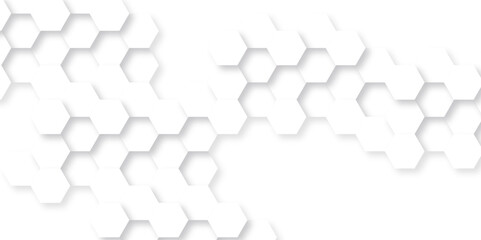 Abstract background with hexagon, modern abstract vector polygonal pattern. Futuristic abstract honeycomb technology white background. Luxury white hexagon pattern.