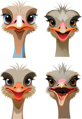 Four cute ostriches showing different emotions