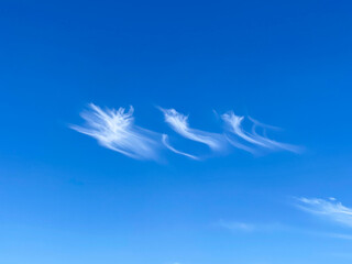 Chmury pierzaste na tle błękitnego, niebieskiego nieba w słoneczny dzień. Chmury pierzaste cirrusy. Cirrus uncinus. © Anita