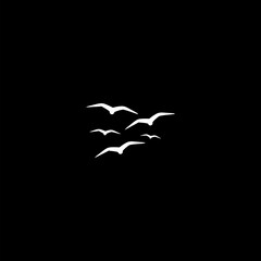  Seagull icon isolated on dark background