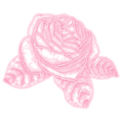 Neon red rose sticker overlay design element