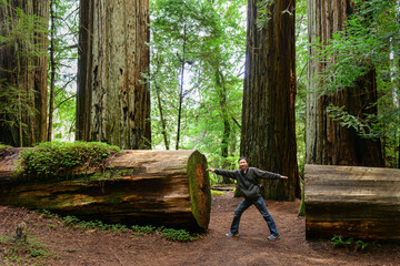 Tourist posing for fun photos at Redwood National and State Parks. California.