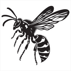 Obraz premium Wasp vector silhouette