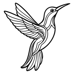 humming bird line art vector illustration